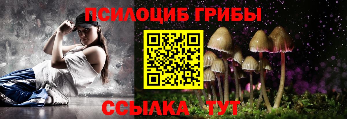 Псилоцибиновые грибы Psilocybe  Вход с VPN  Янаул  Псилоцибиновые грибы Cubensis 