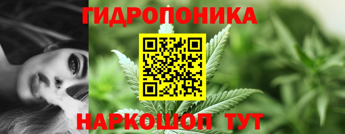 Марихуана AK-47  Вход с VPN  Конопля планчик  Марихуана планчик  Янаул  МАРИХУАНА сатива 